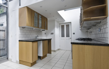 Drimpton kitchen extension leads
